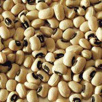 Large picture BLACK EYE BEANS - COWPEA