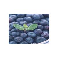 Large picture Blueberry Anthocyanin