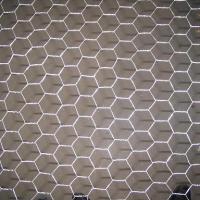 Large picture hexagonal wire mesh