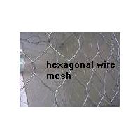 Large picture Stainless steel hexagonal wire netting