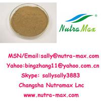 Large picture Ginkgo Biloba Extract 24%/6%/<1ppm