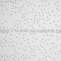 Large picture mineral fiber ceiling