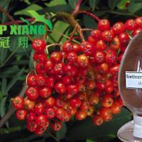 Large picture Hawthorn Extract