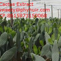 Large picture Cactus Extract  radiation protection
