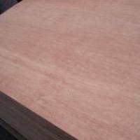 Large picture Eucalyptus Construction Plywood