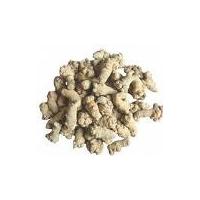 Large picture Notoginseng Root Extract