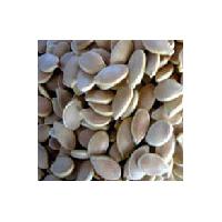 Large picture Pumpkin Seed Extract