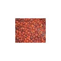 Large picture iqf wild rose hip