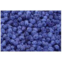 Large picture iqf wild blueberry