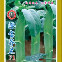 Large picture Chinese Kale Seed