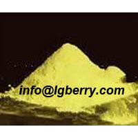 Large picture Sophora japonica Extract