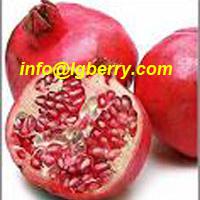 Large picture Pomegranate extract