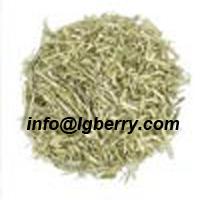 Large picture Oat Grass Extract