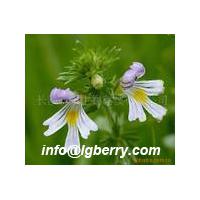 Large picture Eyebright Extract