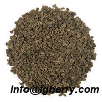 Large picture Celery Seed Extract