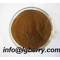 Large picture Burdock Root extract