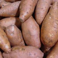 Large picture Sweet Potatoes