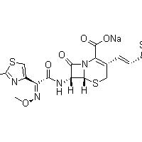 Large picture BBTC-022  Cefditoren Sodium