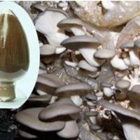 Large picture High purity pleurotus ostreatus polysaccharides