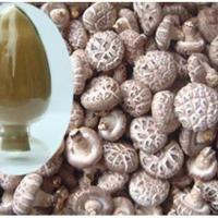 Large picture High purity lentinus edodes polysaccharides