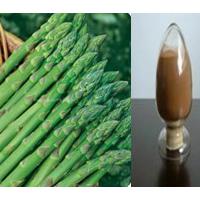 Large picture High purity Asparagus saponins-No dextrin