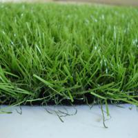 Large picture Artificial Grass BN2521580