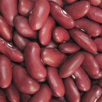 Large picture Dark Red Kidney Beans