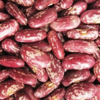 Large picture Red Speckled Kidney Beans