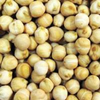 Large picture Chick Pea