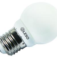 Large picture Bulb