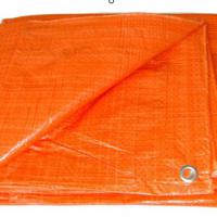 Large picture Orange Tarpaulin