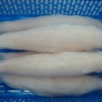 Large picture FROZEN PANGASIUS WELL TRIMMED FILLET, ROLL IN HALF