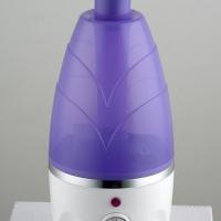 Large picture ultrasonic humidifier