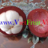 Large picture fresh mangosteen