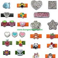 Large picture slider charms,rhinestone charms,dog charms