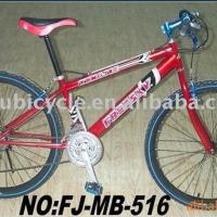 Large picture Red Paint MTB