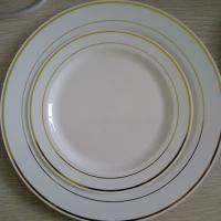 Large picture plastic plate