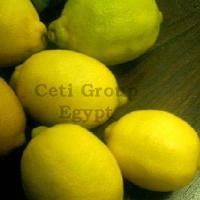 Large picture lemon