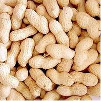 Large picture Chinese peanut in shell