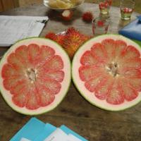 Large picture Pomelo