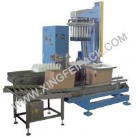 Large picture Auto Carton Packing Machine