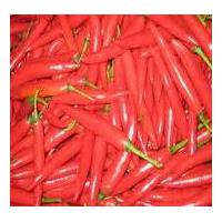 Large picture fresh chili, dried chili, chili powder