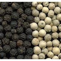 Large picture black pepper