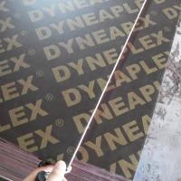 Large picture Marine Plywood