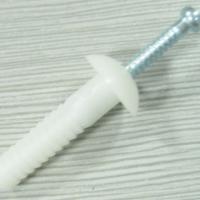 Large picture nylon nail in anchor