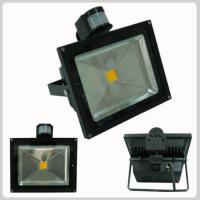 Large picture LED Floodlight-30W