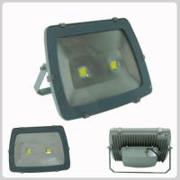 Large picture LED Floodlight-100W