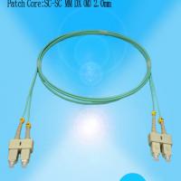 Large picture SC Fiber Optic Patch Cord