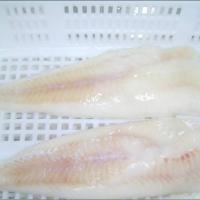 Large picture pollock fillets
