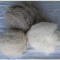 Large picture 100% dehaired cashmere fibre Inquire now
